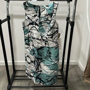 Taylor Dress Size 10